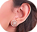 Earrings image